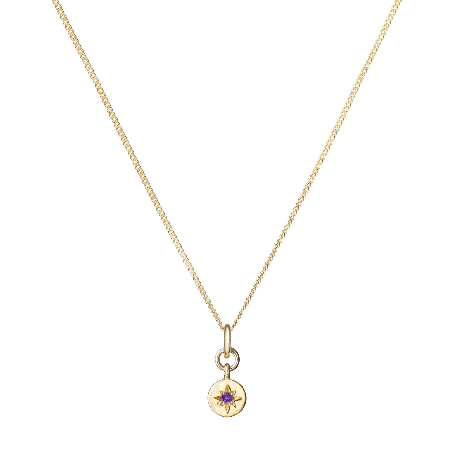 Amethyst Guiding Star Birthstone Necklace | February (Gold Plated)