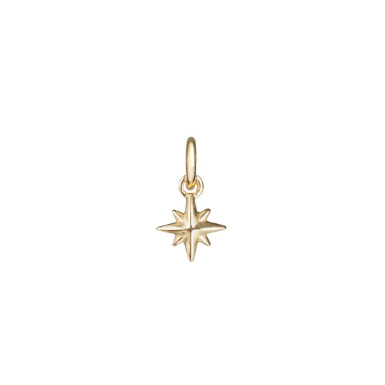 Additional Charm | Tiny Star (Gold Plated)