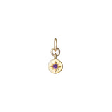 Amethyst | February | Guiding Star (Gold Plated)