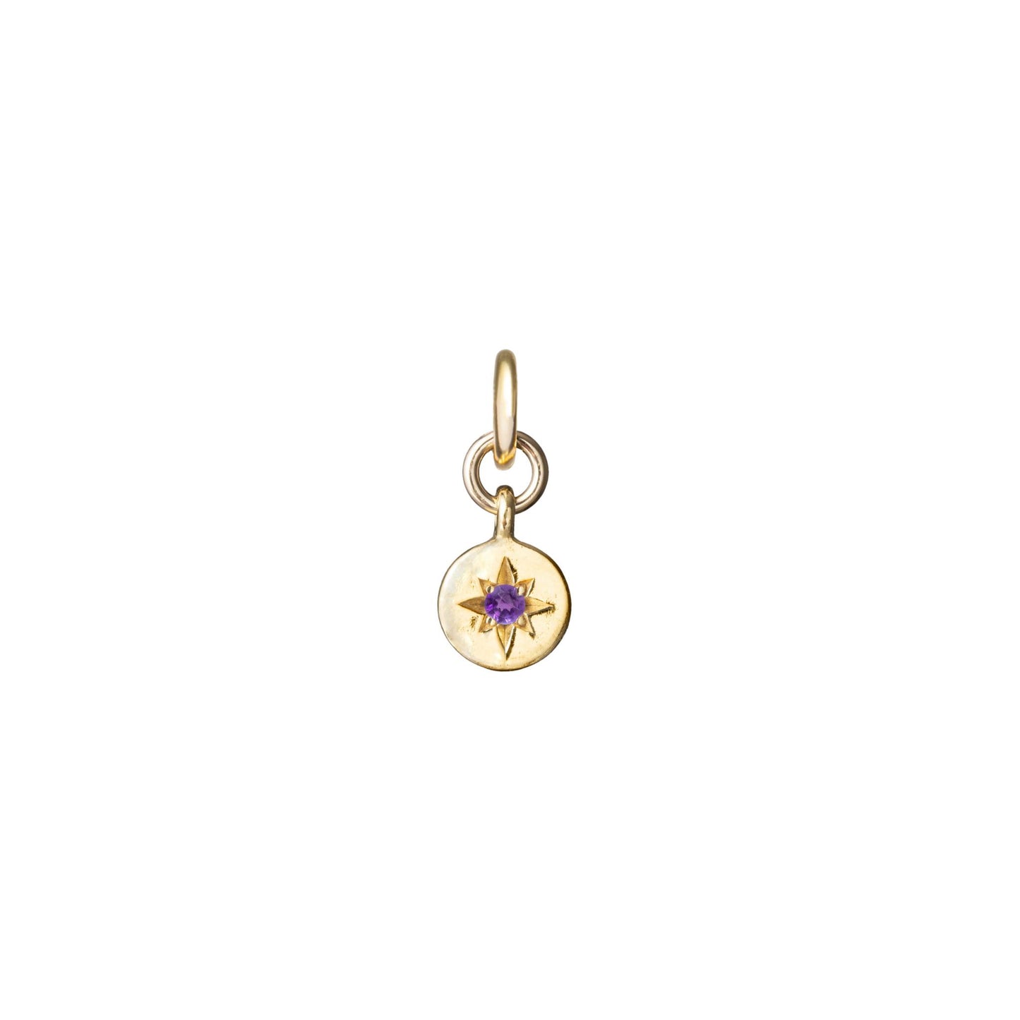 Amethyst | February | Guiding Star (Gold Plated)