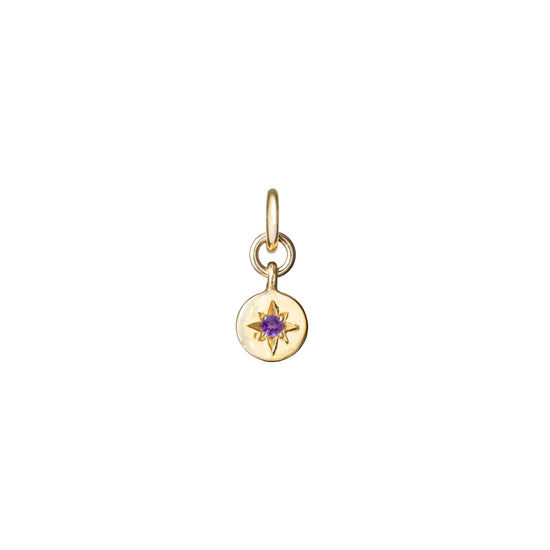 CHOOSE YOUR OWN | Guiding Star Birthstone Hoop Earrings (Gold Plated)