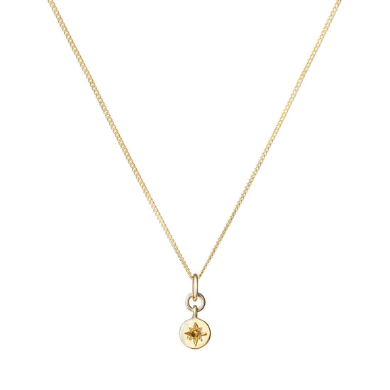 Citrine Guiding Star Birthstone Necklace | November (Gold Plated)