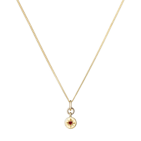 Garnet Guiding Star Birthstone Necklace | January (Gold Plated)