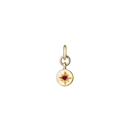 CHOOSE YOUR OWN | Guiding Star Birthstone Hoop Earrings (Gold Plated)
