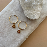 Moonstone Guiding Star Birthstone Hoop Earrings | June (Gold Fill)