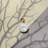 Shell Amulet Gemstone Pendant (Gold)