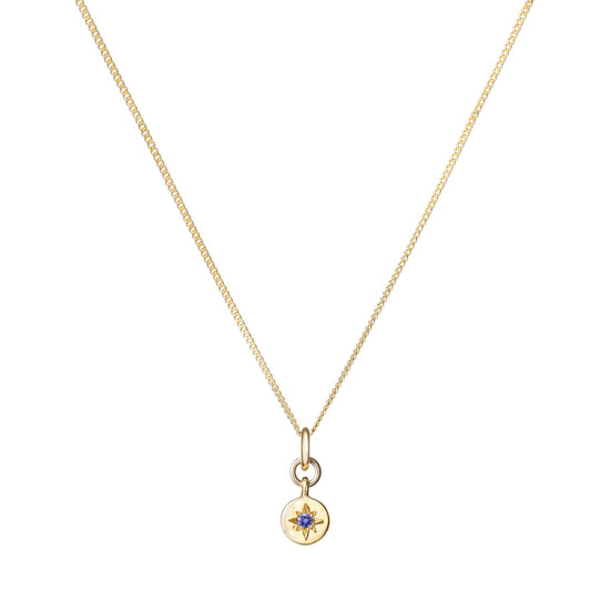 Tanzanite Guiding Star Birthstone Necklace | December (Gold Plated)