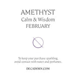 February Birthstone | Amethyst Charm Necklace (Silver)