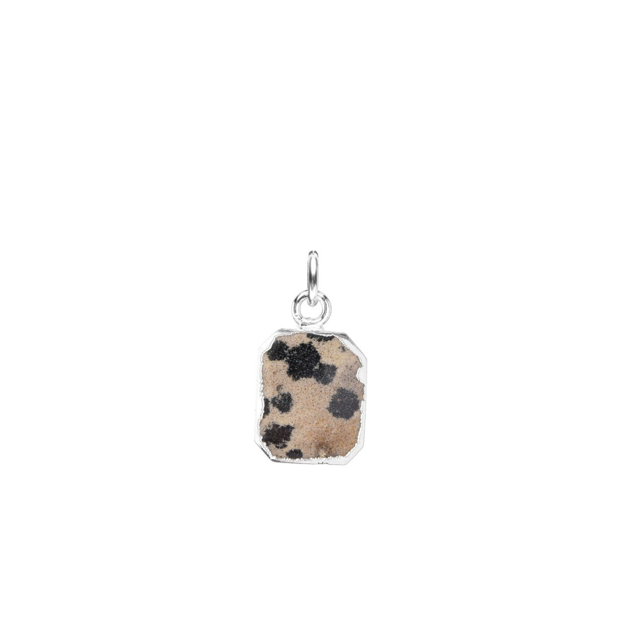 Dalmatian Gem Slice (Silver)