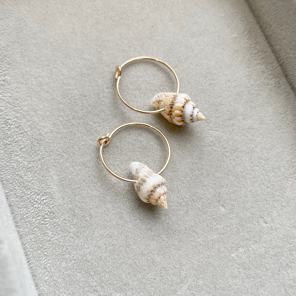 Shell Mini Hoop Earrings (Gold)