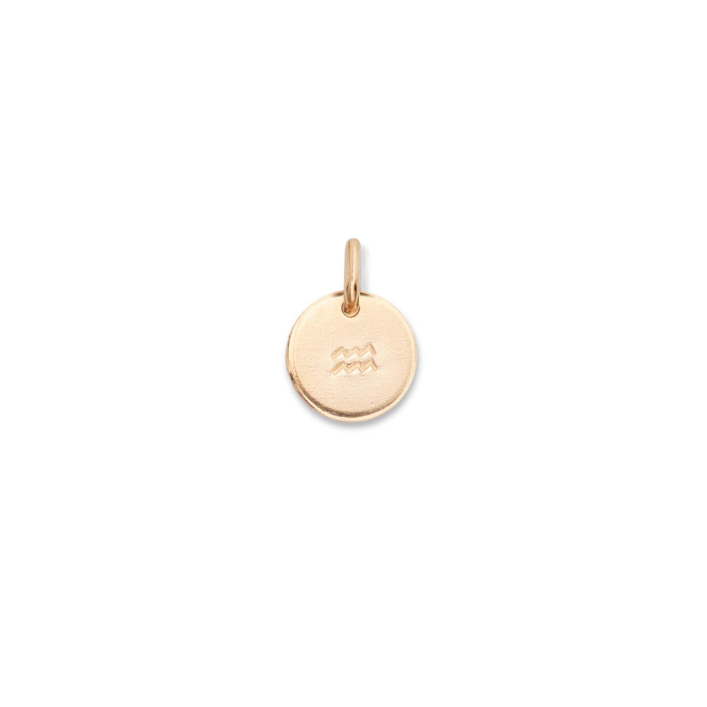 Zodiac Disc | Aquarius | January 20 - February 18 (Gold Fill)