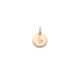 Zodiac Disc | Capricorn | December 22 - January 19 (Gold Fill)