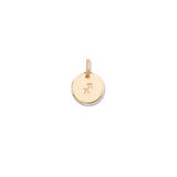 Zodiac Disc | Sagittarius | November 22 - December 21 (Gold Fill)