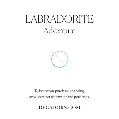 Labradorite Gem Slice Dropper Earrings | Adventure (Silver)