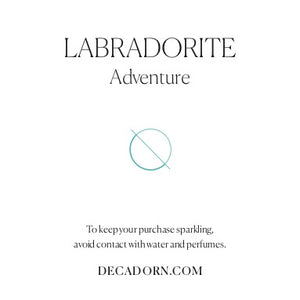 Labradorite Gem Slice Necklace | Adventure (Silver)